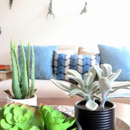 Santa Catarina - Charming * Lizbona